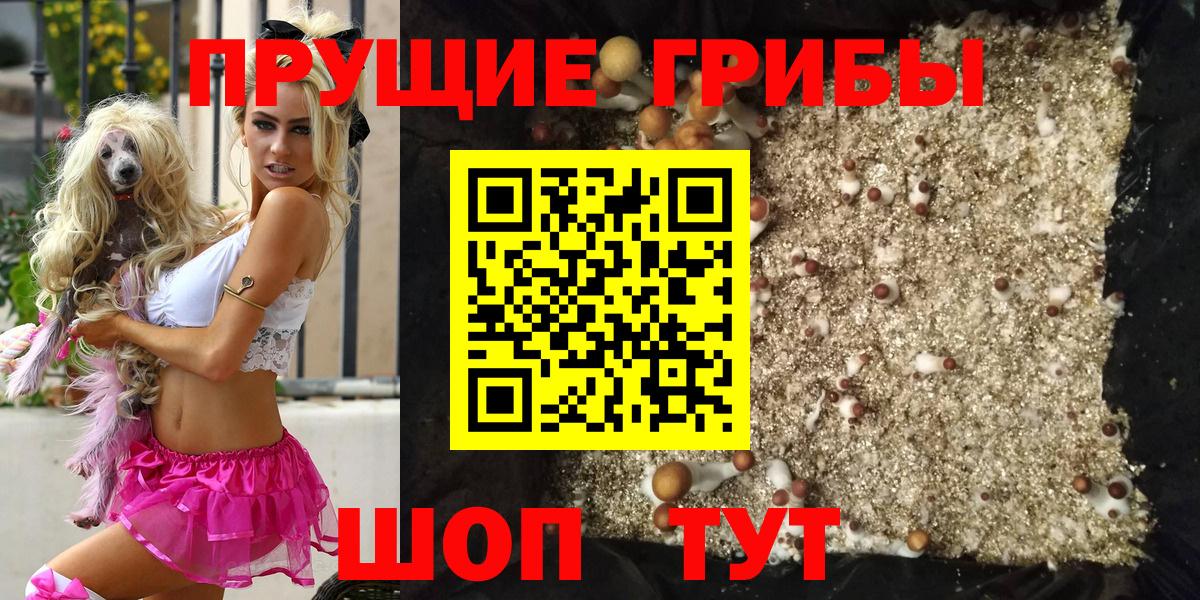 Нижний Новгород  Псилоцибиновые грибы мухоморы  Вход с VPN 