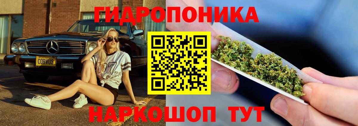 Каннабис SATIVA & INDICA  Шишки марихуана THC 21%  Бошки марихуана ГИДРОПОН  Каннабис гибрид  Вход с VPN  Нижний Новгород 